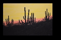 Desert Sentinels